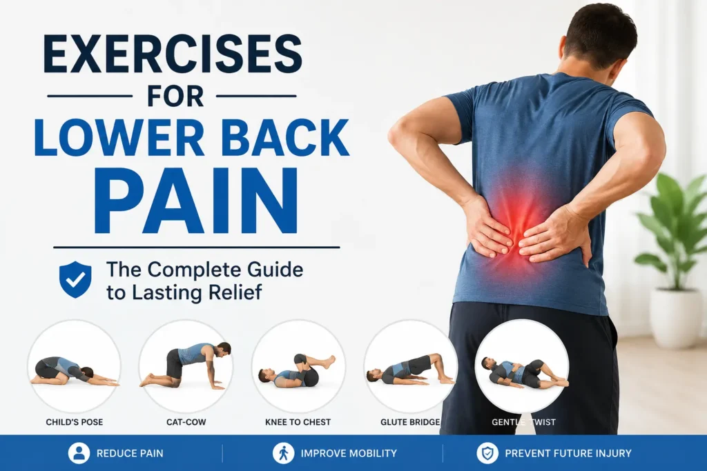 lower back pain exercises