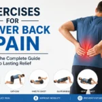 lower back pain exercises